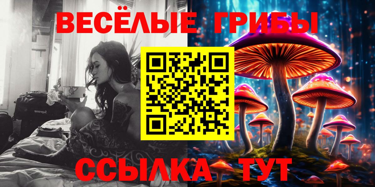 Псилоцибиновые грибы Psilocybe Березники