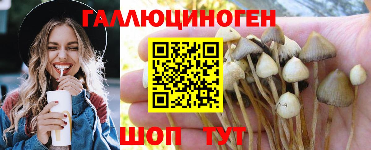 Галлюциногенные грибы Psilocybe  Вход с VPN  Березники 